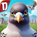 pigeon���ĸ���