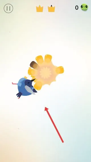 pigeon���ĸ���