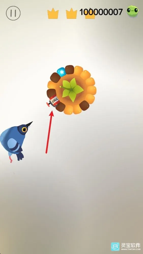 pigeon���ĸ���