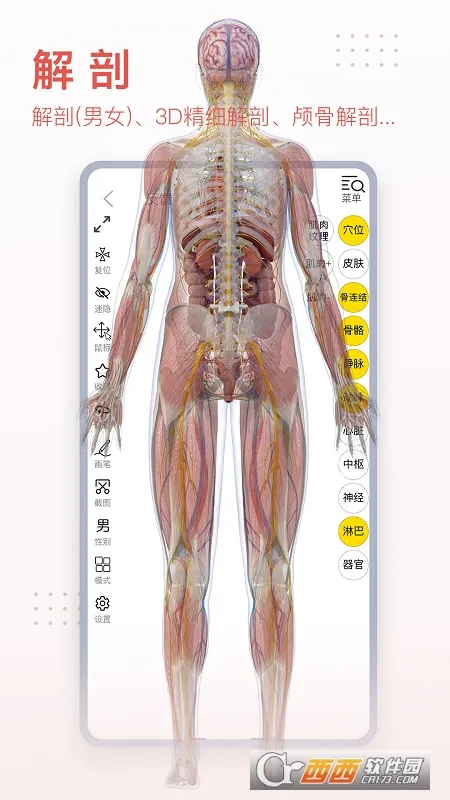 3dbody����app�������v8.8.72 ��Ѱ��ͼ