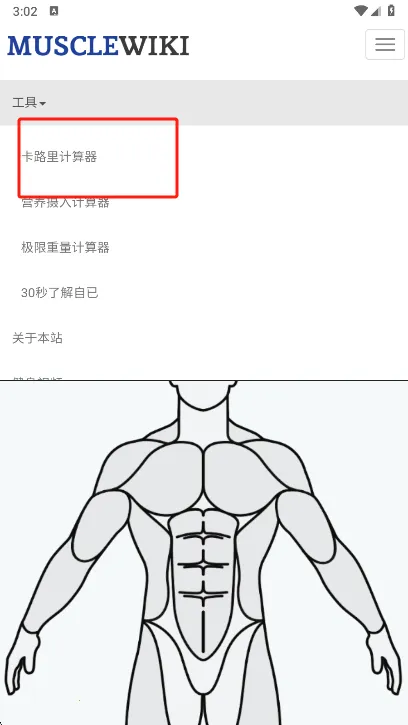 Muscle Wiki2026���°汾v3.0.9 �ٷ������ͼ
