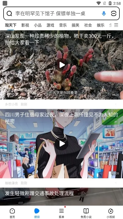 飞觅浏览器2026最新版本 飞觅浏览器2026最新版本