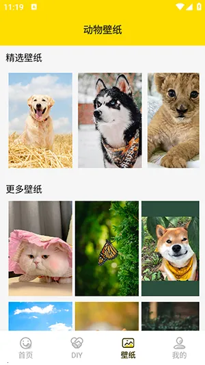 ���ӱ����2026���°汾v1.5 �ٷ������ͼ