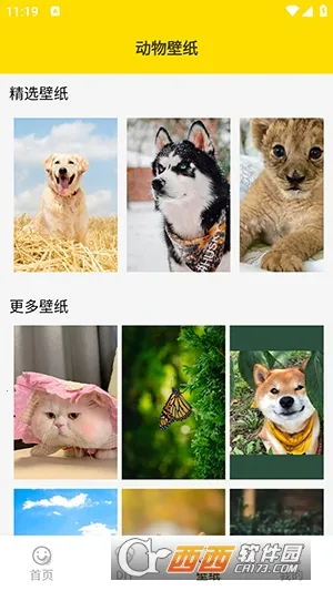 ���ӱ����2026���°汾v1.5 �ٷ������ͼ