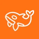 ��׼��Ѷ2026�ٷ�����V1.00.8.C0123 �ֻ���