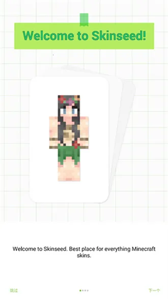 skinseedƤ���༭��v6.5.22 �ٷ������ͼ