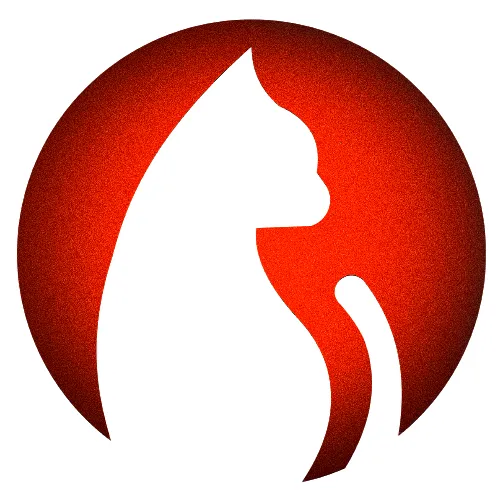 ׷��è�����ֻ���v1.1.3 �ٷ�����