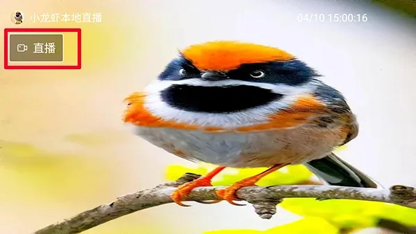 С��Ϻֱ��(����ֱ������)