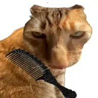 ��è��ë(è����ëС��Ϸ)v1.0 �ֻ���