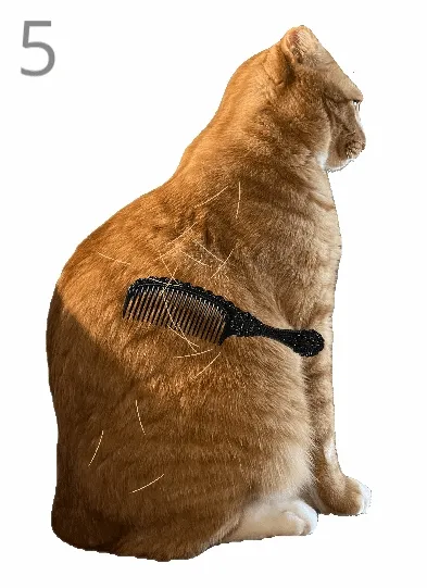 ��è��ë(è����ëС��Ϸ)