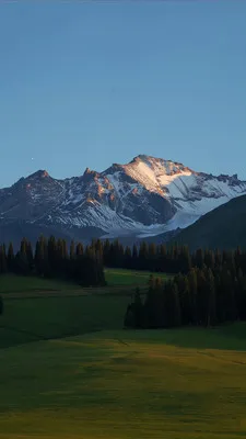 RawPix2026���ذ�װv1.4.18 �ٷ������ͼ