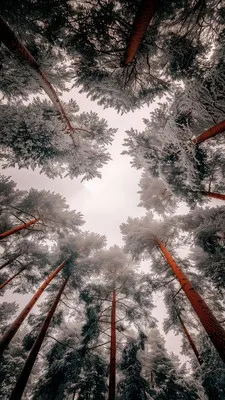 RawPix2026���ذ�װv1.4.18 �ٷ������ͼ