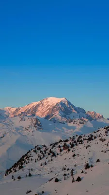 RawPix2026���ذ�װv1.4.18 �ٷ������ͼ