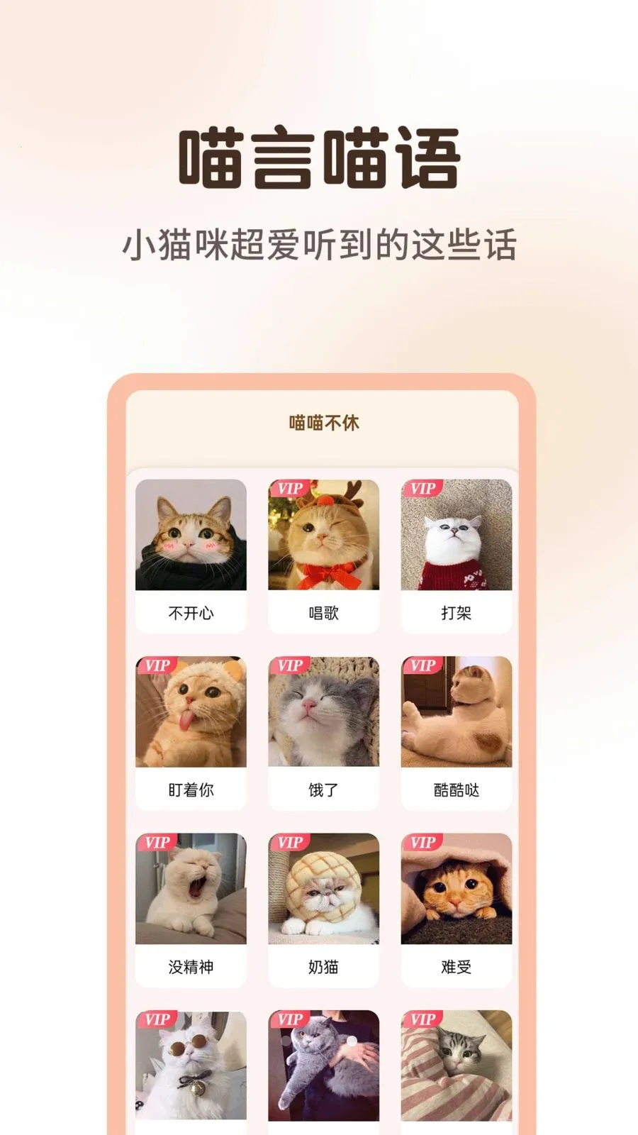 ����è�����﷭����2026�ٷ�����v1.0.3 �ֻ����ͼ