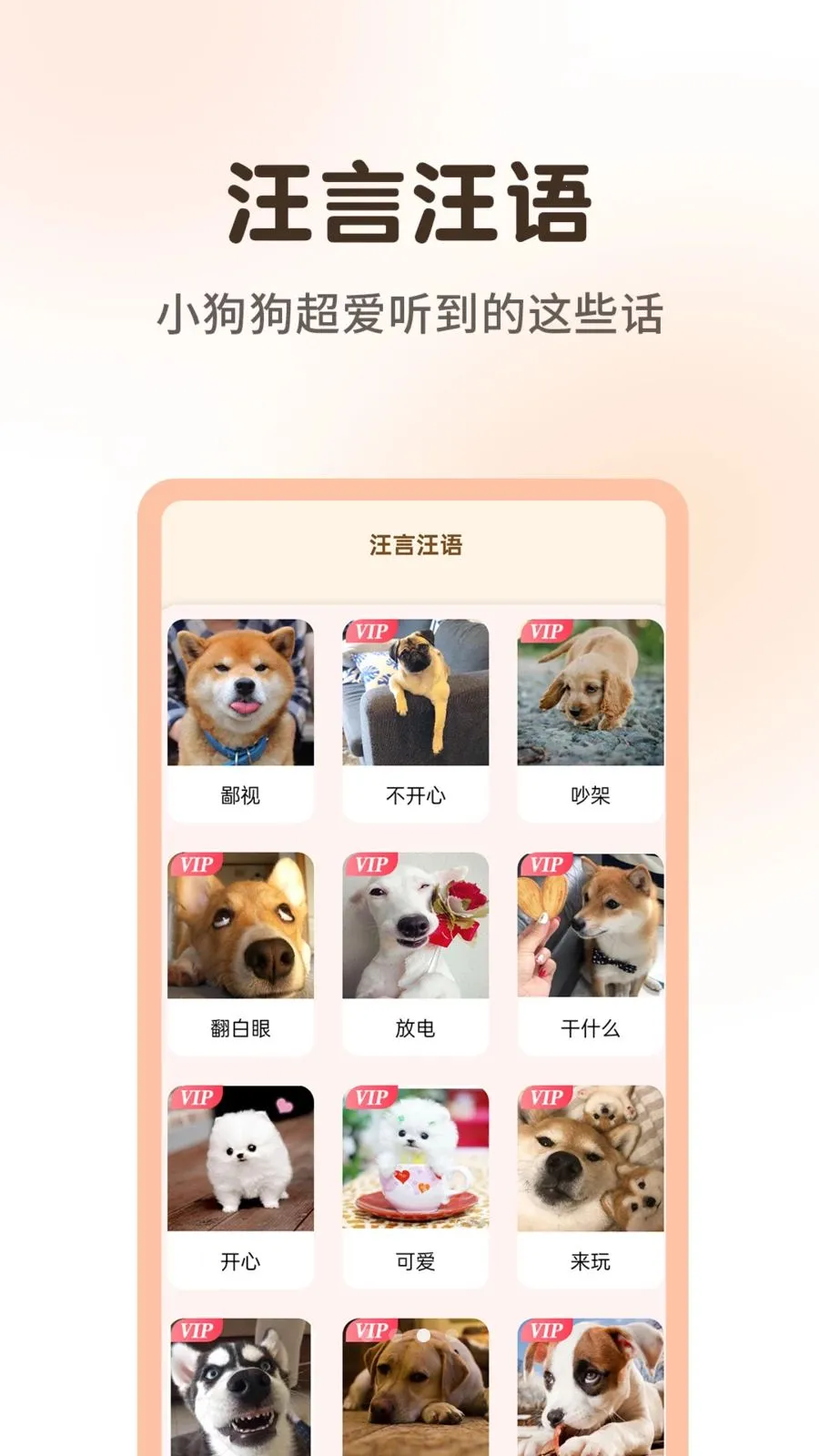 ����è�����﷭����2026�ٷ�����v1.0.3 �ֻ����ͼ