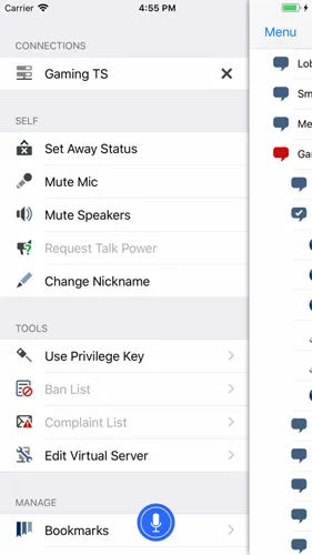TeamSpeak2026���°汾v3.0.13.1 �ٷ������ͼ