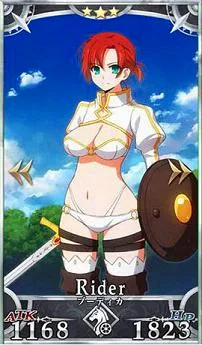 fate go(ħ�ÿ�������)