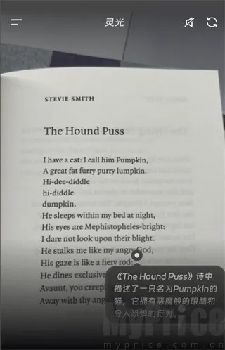 ���AI��������