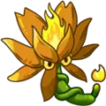 ֲ���ս��ʬ�ں�40�氲׿���ֻ���v2.3.1 ��׿��