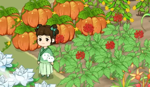 ��԰�˼�(��԰��Ӫ��Ϸ)