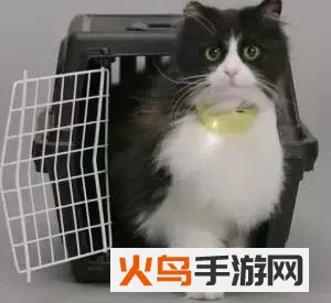è�Թ��﷭��(���ｻ��������)
