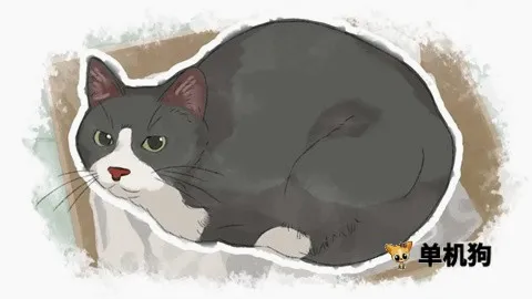 ���װ�����2026�ٷ����°汾
