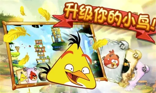 愤怒的小鸟(弹射益智游戏) 愤怒的小鸟(弹射益智游戏)