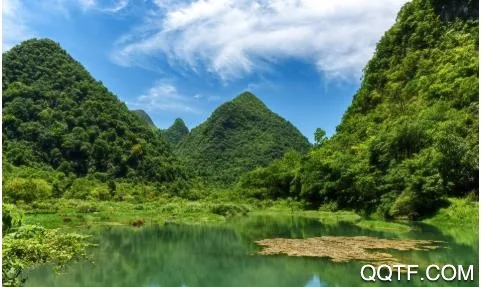 众望(贵州新闻平台) 众望(贵州新闻平台)