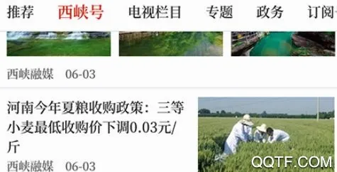 云上西峡(新闻资讯平台) 云上西峡(新闻资讯平台)