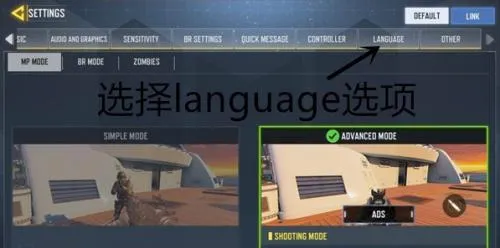 codm国际服(枪战射击游戏)