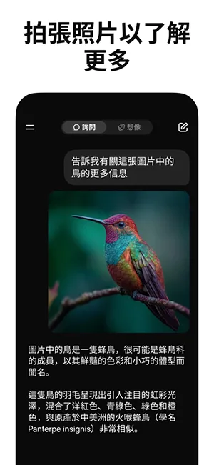 Grokж��(AI�Ի�����)v1.1.38 ��׿���ͼ