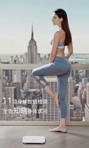荣耀体脂秤(体脂秤健康软件) 荣耀体脂秤(体脂秤健康软件)