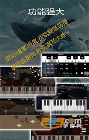 钢琴助手(游戏钢琴辅助) 钢琴助手(游戏钢琴辅助)
