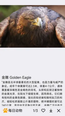 ÿ�ն���(����֪ʶ����)v1.0.0 �ֻ����ͼ