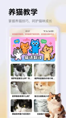 ����è��app(è��һվʽƽ̨)v1.3 ��׿���ͼ