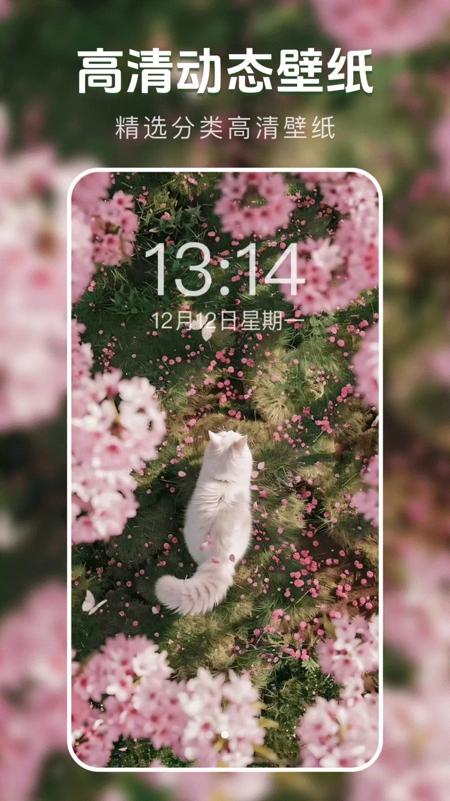 ��̬�����ֽ��(��ֽ����Ӧ��)v1.0.0 �ֻ����ͼ