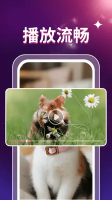 ˽��ӰƬ������(��Ƶ����APP)v1.0.3 �ֻ����ͼ