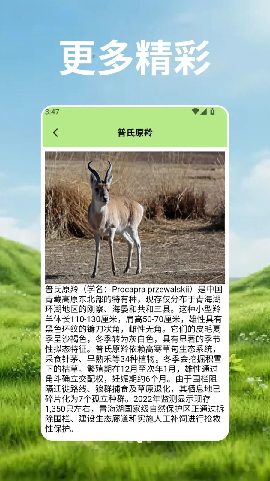 ��Ⱥ�Ŀ�ѧ��2026�ٷ����°汾v2.3 ��׿���ͼ